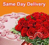 Send Flowers to  Same Day