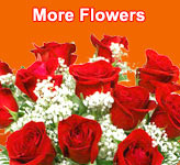 Send Flowers to 