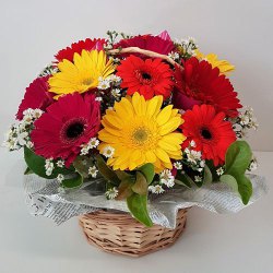 Special Basket of Assorted Gerberas