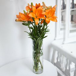 Long Stem Lilies in a Vase