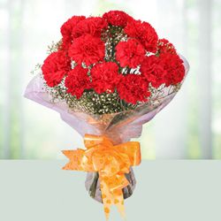 Mind Blowing Red Carnations Bouquet