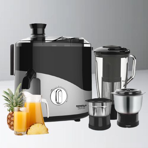 maharaja whiteline mixer grinder